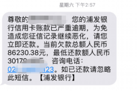 鄄城融资清欠服务